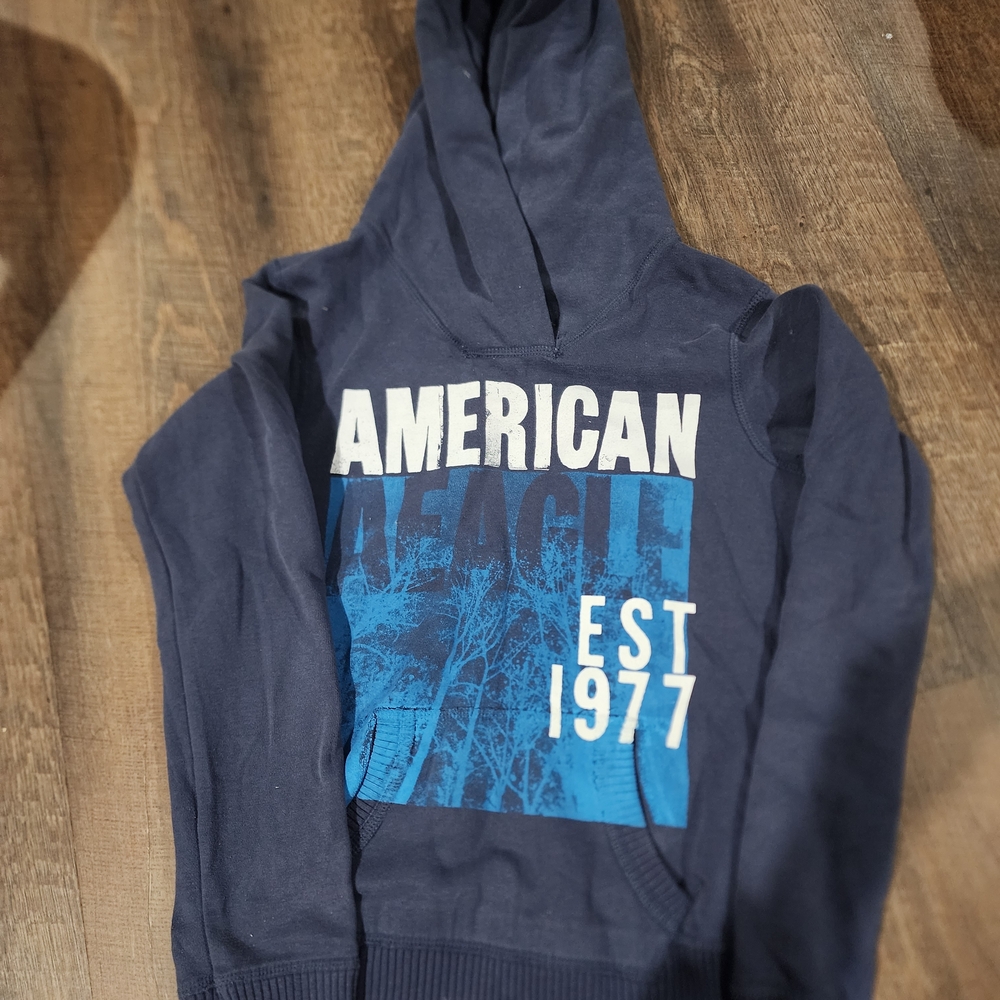 American Eagle Outfitters Navy and Blue Graphic Hoodie